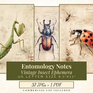 May include: A white ceramic mug with a black handle and the text "But First, Coffee" in a black, handwritten-style font. The mug is on a white surface.