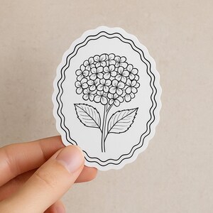 hand drawn illustrations minimalist line art hydrangea
