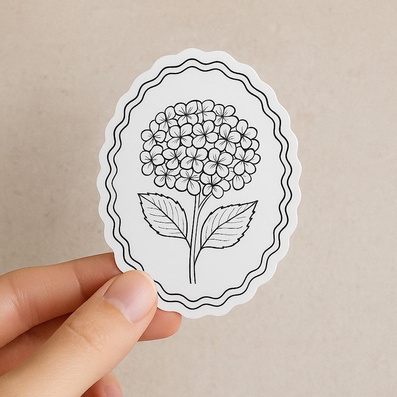 hand drawn illustrations minimalist line art hydrangea