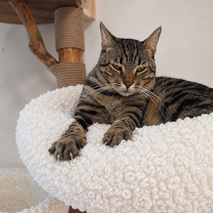 May include: A brown and black tabby cat resting on a circular, white, textured, sherpa-style fabric bed attached to a wooden cat tree with rope-wrapped posts. The cat has dark stripes, green-gold eyes, and is lying with its front paws extended.