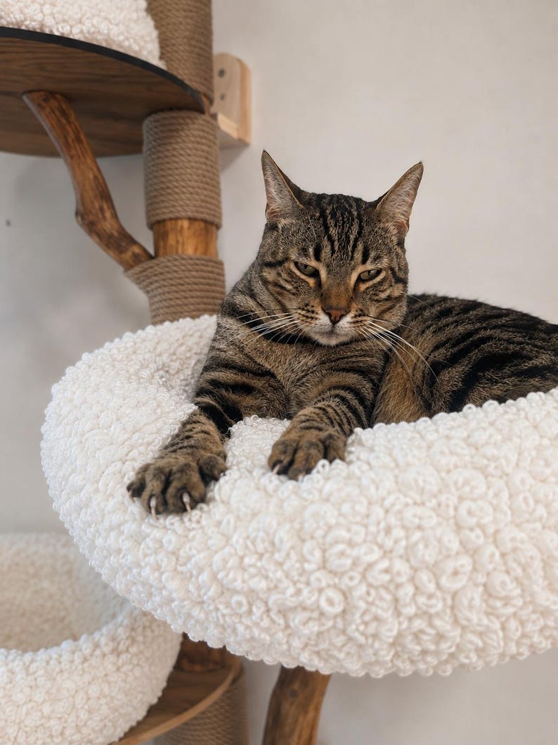 May include: A brown and black tabby cat resting on a circular, white, textured, sherpa-style fabric bed attached to a wooden cat tree with rope-wrapped posts. The cat has dark stripes, green-gold eyes, and is lying with its front paws extended.