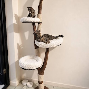 May include: A tall cat tree featuring a dark brown wooden trunk with multiple levels. Three circular platforms are topped with plush white cushions. Sections of the trunk are wrapped in light beige rope for scratching. Two tabby cats rest on the platforms.