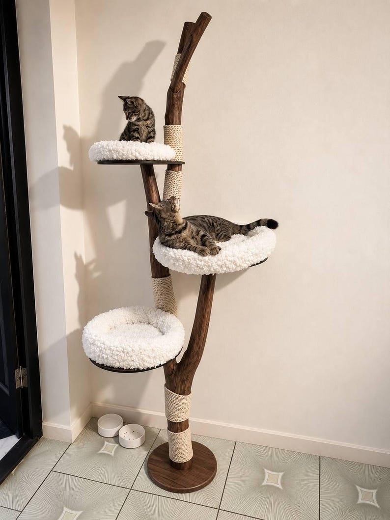 May include: A tall cat tree featuring a dark brown wooden trunk with multiple levels. Three circular platforms are topped with plush white cushions. Sections of the trunk are wrapped in light beige rope for scratching. Two tabby cats rest on the platforms.