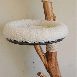 May include: A cat tree featuring a natural wood branch structure with sections wrapped in thick beige rope. A circular platform supports a plush, white, curly-textured cushion with a raised rim, providing a soft surface for resting.