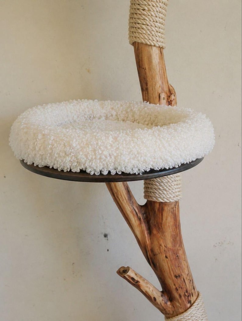 May include: A cat tree featuring a natural wood branch structure with sections wrapped in thick beige rope. A circular platform supports a plush, white, curly-textured cushion with a raised rim, providing a soft surface for resting.