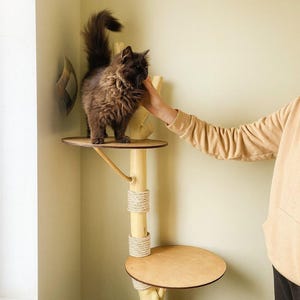 Peut inclure: Un arbre à chat en bois avec deux plateformes circulaires et un poteau de support central. Le poteau est enveloppé de corde. Un chat brun et duveteux se tient sur la plateforme supérieure. L'arbre à chat est monté sur un mur vert clair.