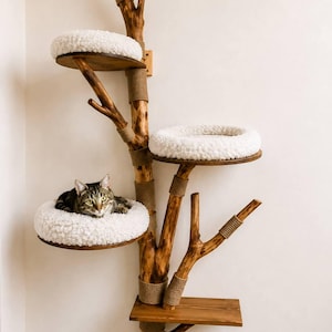 May include: A cat tree constructed from a natural wooden branch with multiple levels. It features three circular platforms topped with white, textured, plush cushions and one rectangular wooden shelf. Sections of the trunk are wrapped in tan rope.