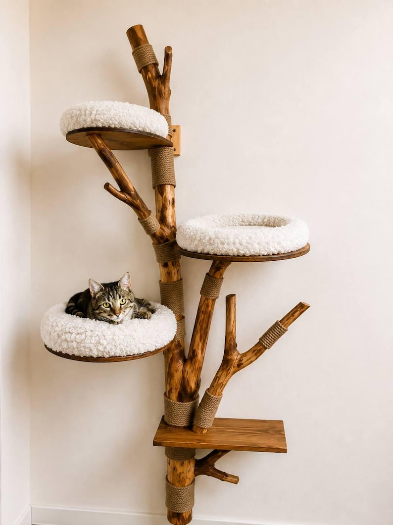 May include: A cat tree constructed from a natural wooden branch with multiple levels. It features three circular platforms topped with white, textured, plush cushions and one rectangular wooden shelf. Sections of the trunk are wrapped in tan rope.