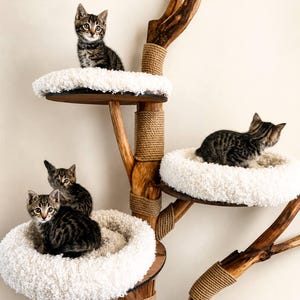 May include: A multi-level cat tree constructed from natural wood branches with sections wrapped in tan sisal rope. The structure features several circular platforms topped with thick, white, fluffy, textured cushions, occupied by four tabby kittens.