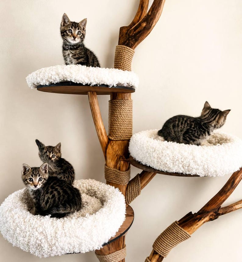 May include: A multi-level cat tree constructed from natural wood branches with sections wrapped in tan sisal rope. The structure features several circular platforms topped with thick, white, fluffy, textured cushions, occupied by four tabby kittens.
