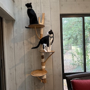 May include: A multi-level cat tree with two cats. The cat tree has wooden platforms, natural wood branches, and rope-wrapped posts. One black cat sits on the top level, and a black and white cat is on the middle level. The cat tree is mounted on a light gray wall.