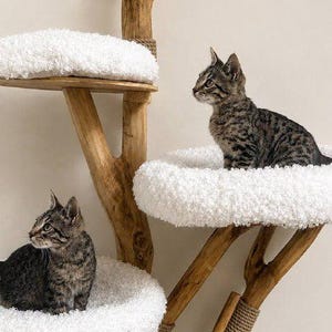 May include: A multi-level cat tree constructed from natural wood branches with jute rope accents. The structure features three circular platforms topped with thick, white, textured plush cushions, each occupied by a small tabby kitten.