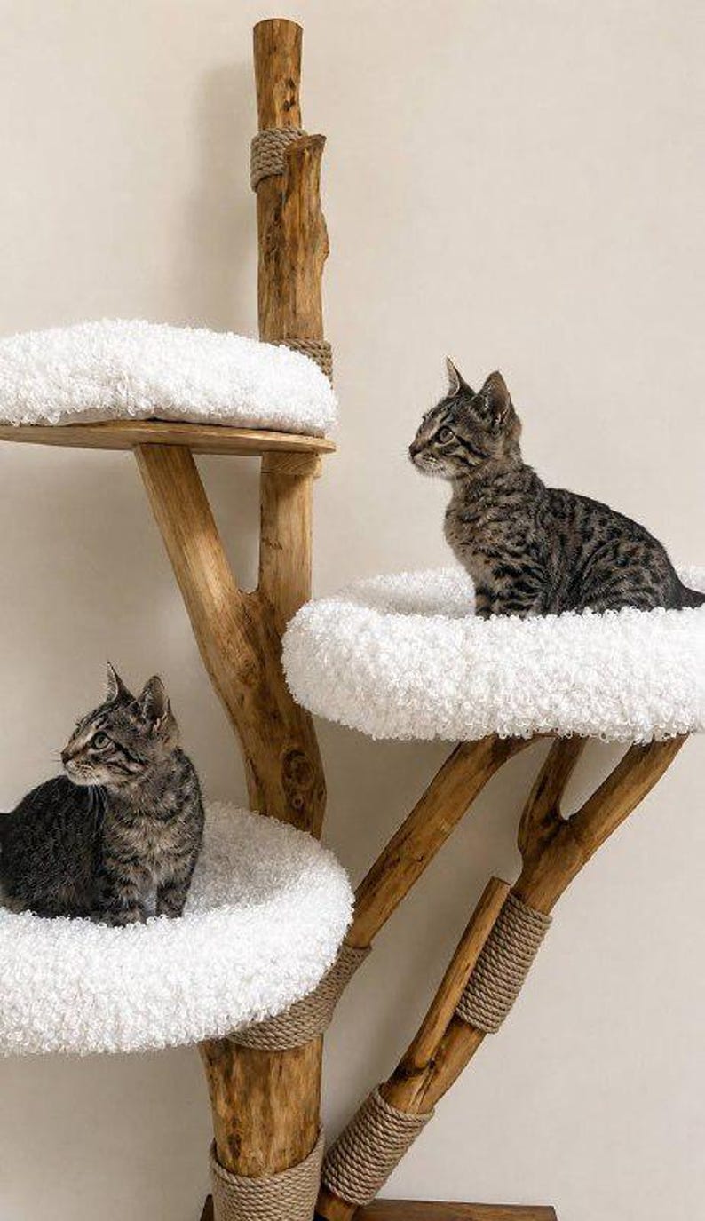 May include: A multi-level cat tree constructed from natural wood branches with jute rope accents. The structure features three circular platforms topped with thick, white, textured plush cushions, each occupied by a small tabby kitten.