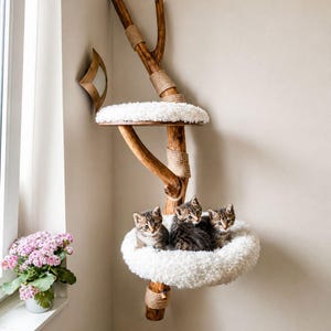 May include: A wall-mounted cat tree constructed from a natural wooden branch with two circular platforms covered in white plush fabric. The branch features sections wrapped in tan rope for texture. Three tabby kittens sit on the lower platform.