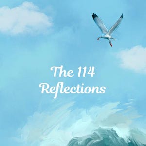 May include: A digital art print featuring a seagull in flight against a blue sky with clouds. The artwork includes a large ocean wave and the text "The 114 Reflections". The artist's name, Muneeb, is also included.