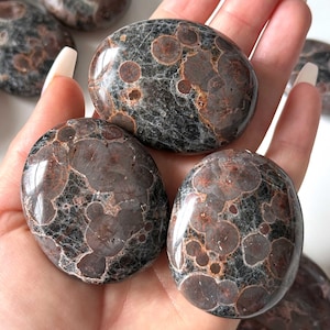 May include: Several polished, oval stones with a dark grey base and reddish-brown circular patterns. The stones are smooth and appear to be natural gemstones or minerals. The image shows the stones held in a hand.