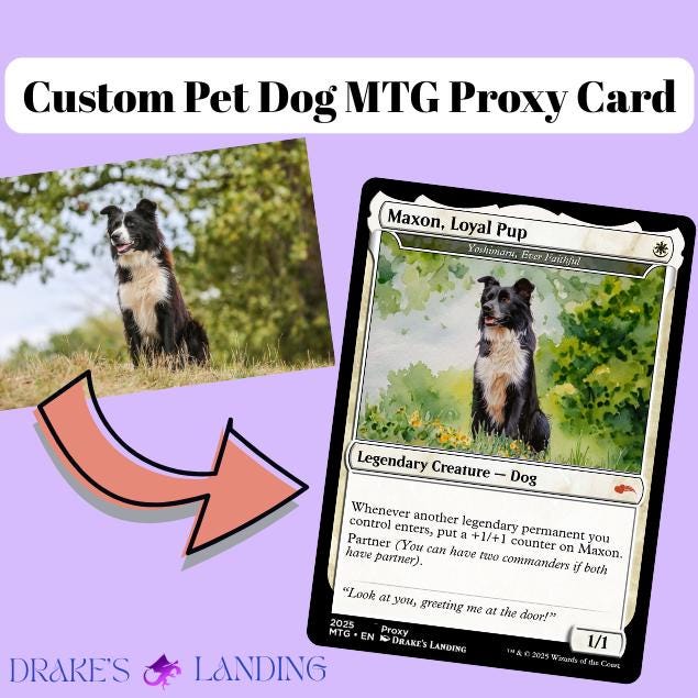 dog mtg cards Amazon.com: Dog Deck - Boros - Red White - Very Powerful - Modern Legal -  Custom Built - Magic The Gathering - MTG