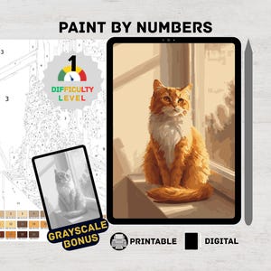Peut inclure: Kit de peinture par numéros numérique avec un chat roux et blanc assis dans une fenêtre. Comprend un bonus en niveaux de gris et un niveau de difficulté de 1. Le texte "PAINT BY NUMBERS" est en haut.