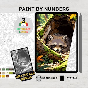Raton laveur forestier - Kit numérique de peinture numérique pour adultes | Jolie créature de la forêt à colorier, procréer et imprimer sur iPad
