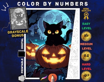 May include: Digital printable Halloween-themed color by numbers art featuring a black cat on a jack-o'-lantern, with a full moon in the background. Includes grayscale bonus and levels of difficulty: easy, medium, and hard.