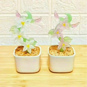 Può includere: Due piccoli vasi quadrati in ceramica bianca contengono ciascuno una composizione floreale in vetro. I fiori sono bianchi con centri gialli e accenti rosa, con steli e foglie verdi. I vasi poggiano su una superficie di legno.