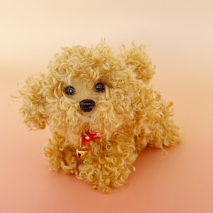 Puede incluir: Un caniche de juguete marrón claro con pelo rizado. El perro tiene ojos negros y una nariz negra. Lleva un collar rojo con una pequeña campana dorada. El fondo es de color melocotón claro.