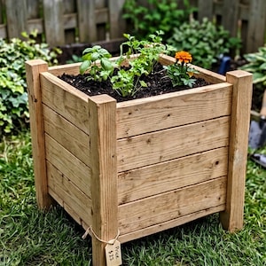 May include: A square wooden planter box filled with soil and various green plants and an orange flower. The box is made of light brown wood and is sitting on green grass. The planter is in a garden setting.