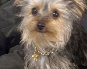 small dog necklaces