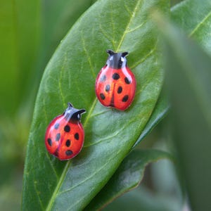 May include: Two red ladybug earrings with black spots and black heads rest on a green leaf. The earrings are small and detailed, with a glossy finish. The background is blurred green foliage.