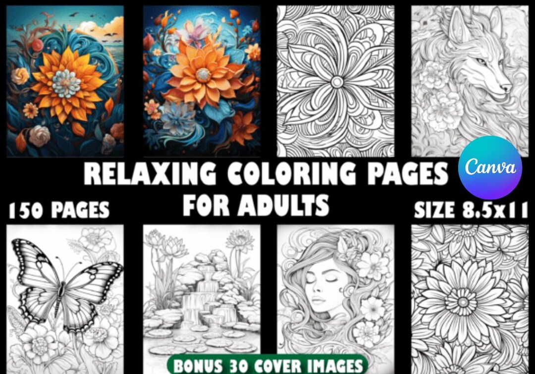 Calm in Color A Relaxing Adult Coloring Book for Stress Relief - Etsy