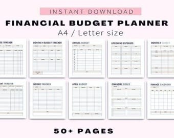 Monthly Budget Planner | Financial Organization Spreadsheet (Digital)