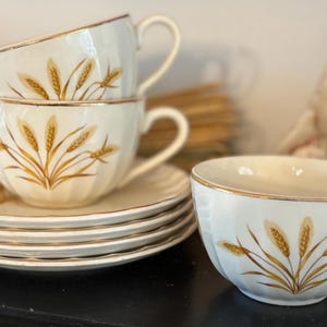 May include: A set of vintage teacups and saucers. The cups and saucers are white with a gold rim and a wheat design in shades of brown and gold. The teacups are stacked, and the saucers are in a neat pile. The teacups have a capacity of approximately 6 ounces.