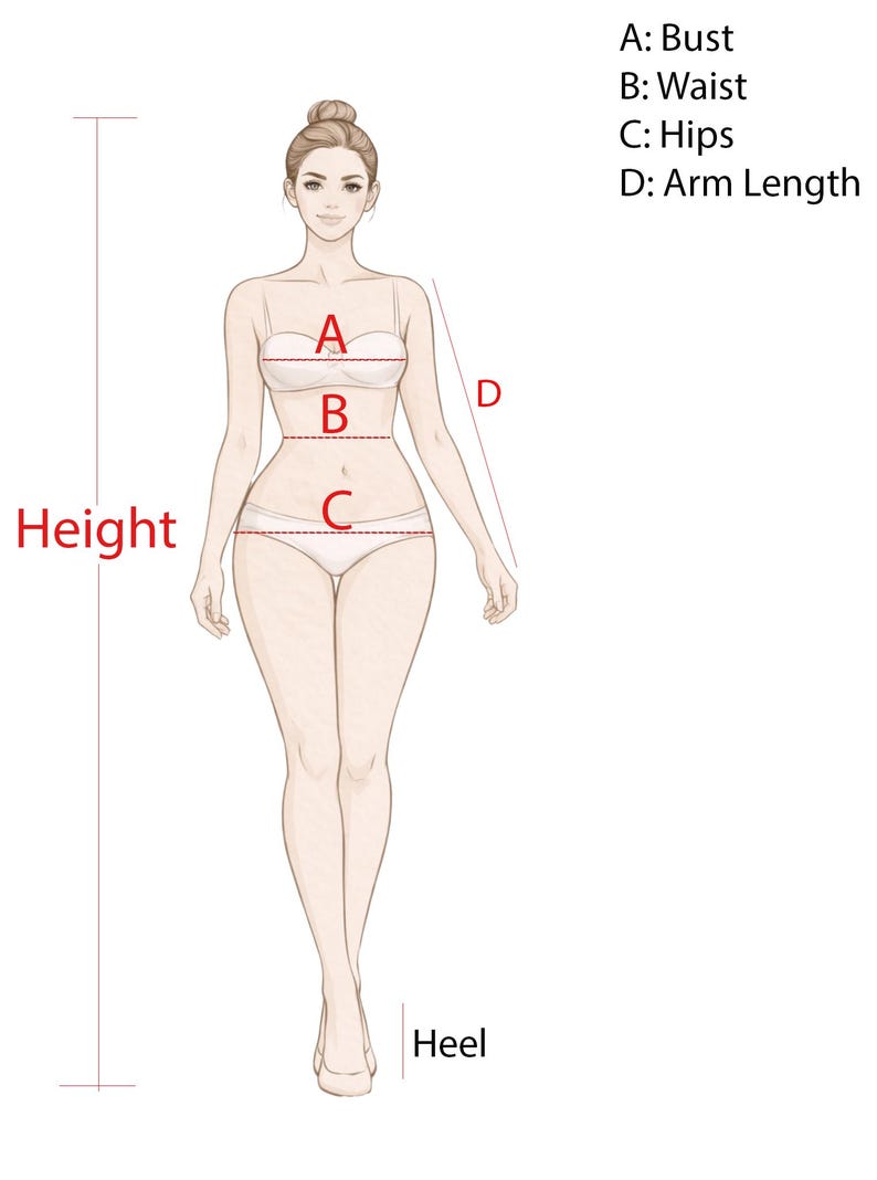 May include: A digital illustration of a human figure showing body measurement points. Labels include A: Bust, B: Waist, C: Hips, D: Arm Length, Height, and Heel. Red lines indicate the specific areas for measuring bust, waist, hips, arm length, and total height.