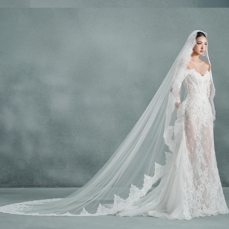 May include: A white, off-the-shoulder wedding dress with long sleeves and intricate lace detailing. The dress features a fitted bodice and a flowing skirt. A long, sheer veil with a scalloped lace edge trails behind the dress.