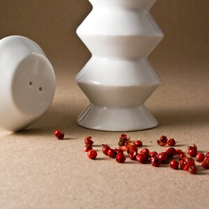 Salt and Pepper Shakers, White Porcelain Shakers, Modern Housewarming Gift image 4