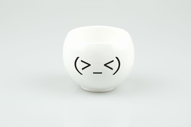 Emoji Face Plant Holder Funny Ceramic Plant Pot Minimalist Planter