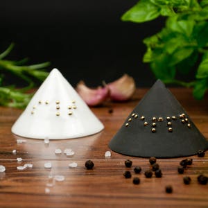 Ceramic Salt and Pepper Shakers with Braille, Black and White Salt and Pepper Pots