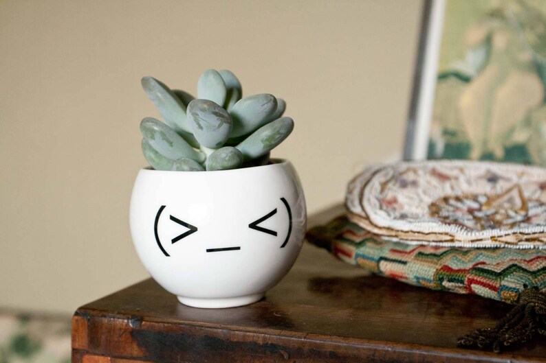 Emoji Face Plant Holder Funny Ceramic Plant Pot Minimalist Planter