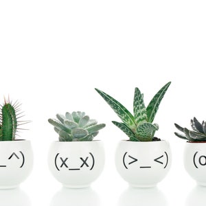 Planter with Face, Minimalist Plant Pot with Funny Emoticons