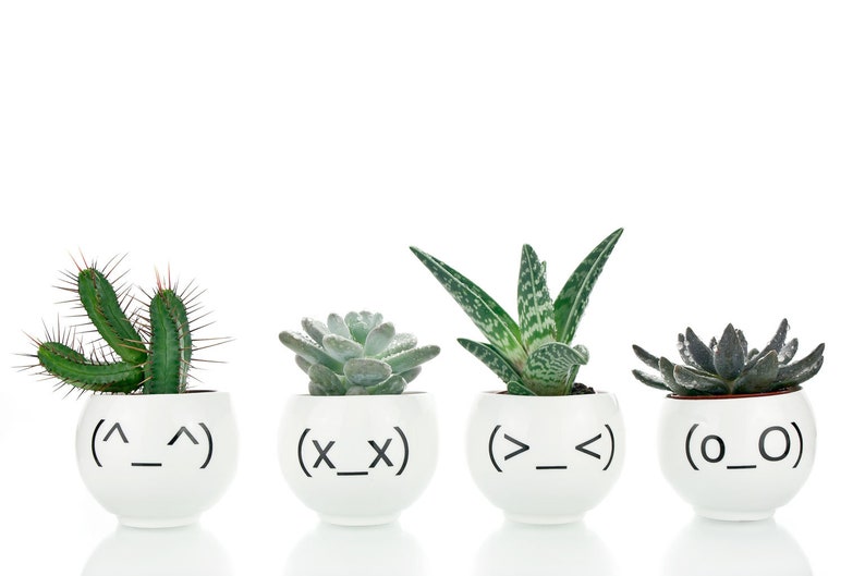 Funny Emoji Planters, Minimalist Plant Holders with Japanese Emoticons, Quirky Planters Set 