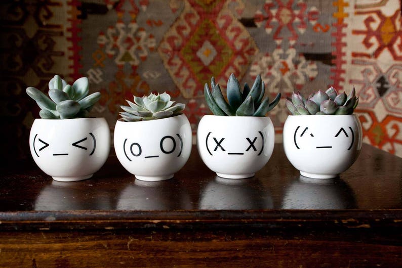 Emoji Face Plant Holder Funny Ceramic Plant Pot Minimalist Planter