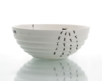 Funny Bowl with Bugs, Ceramic Bowl with Ants and Bugs, Serving Bowl