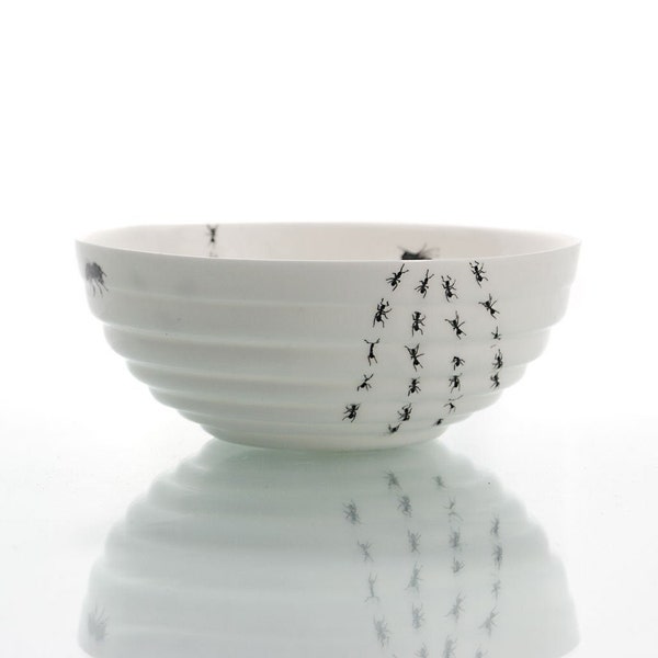Funny Bowl with Bugs, Ceramic Bowl with Ants and Bugs, Serving Bowl