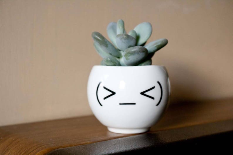 Emoji Face Plant Holder Funny Ceramic Plant Pot Minimalist Planter