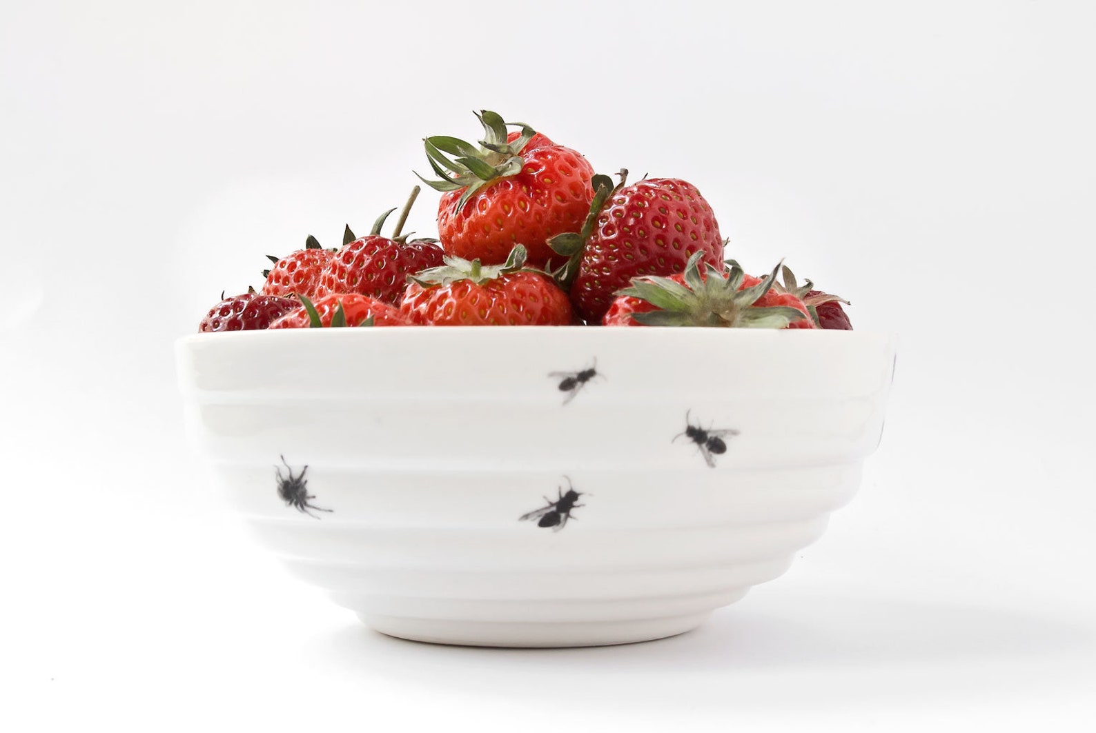 Funny Bowl With Bugs Ceramic Bowl With Ants and Bugs Serving - Etsy UK
