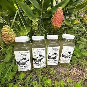 100% Organic Awapuhi  Shampoo Ginger Extract Glass Bottle
