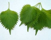 Produkt z tego sklepu