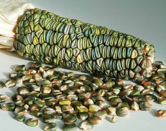 BACK AGAIN!- Oaxacan Green Corn