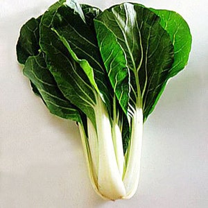 Puede incluir: Un manojo de bok choy verde fresco con tallos blancos. Las hojas son grandes y tienen una textura ligeramente arrugada.