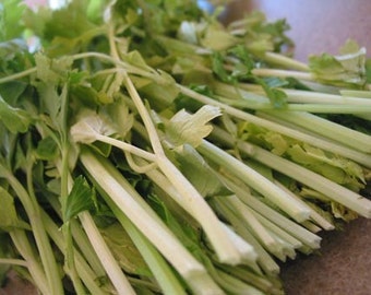 Chinese White Stem Celery